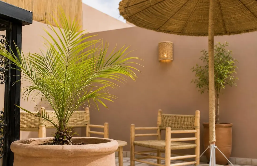 Riad Sabria-1